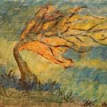 Wind by Alma Solakovic
