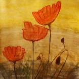 Six poppies by Alma Solakovic