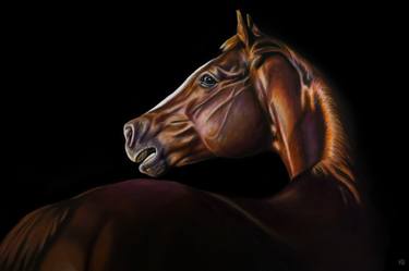 Original Horse Painting by Karen Broemmelsick