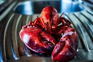 Original Fine Art Food Photography by Fabrizio Fadda Scimansky