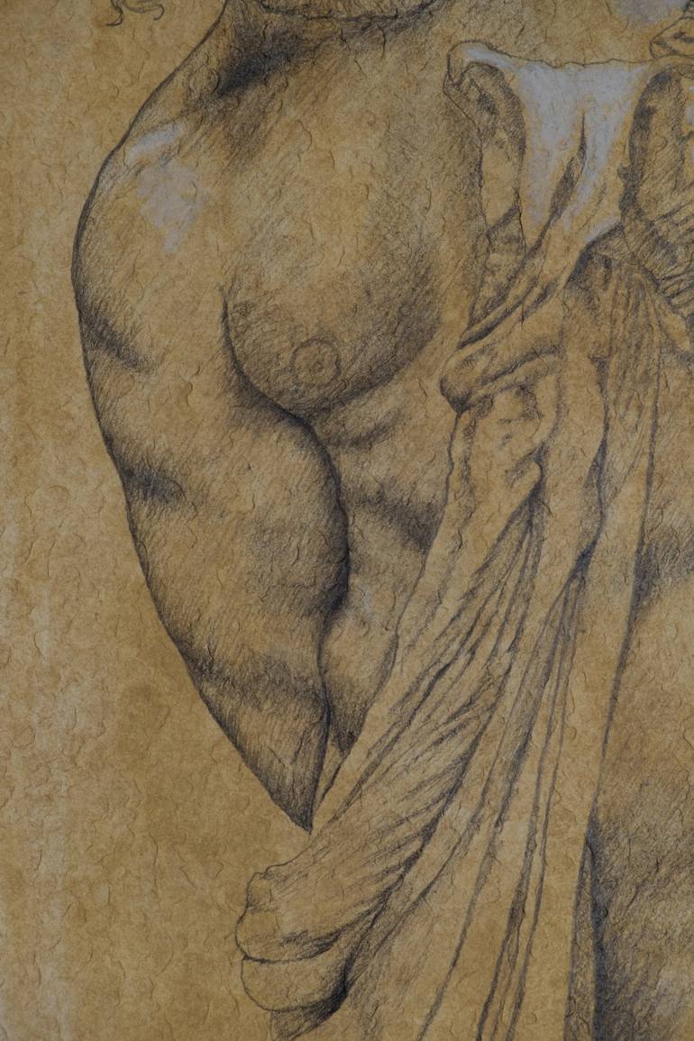 Original Nude Drawing by Alfredo Furiati