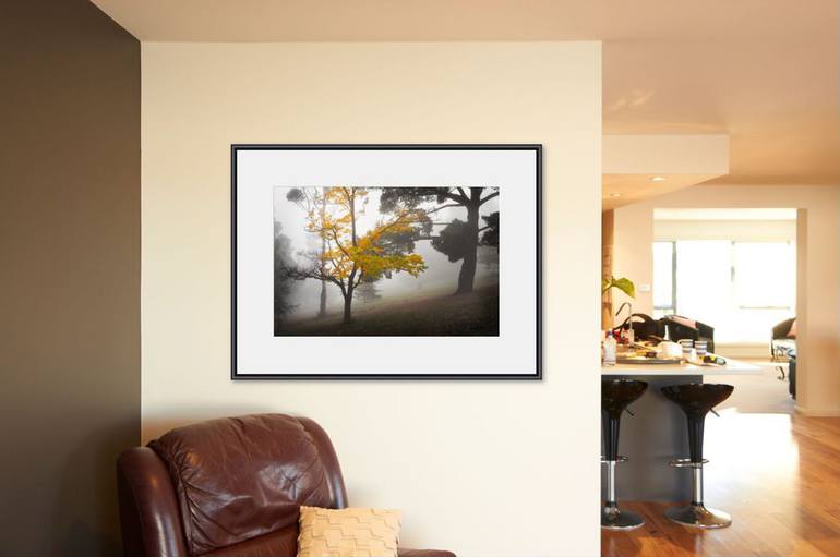 Original Other Landscape Photography by Philip Kuruvita