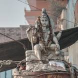 Collection India