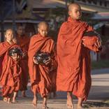 Collection Children