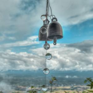 Collection Landscape & natural world
