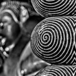 Collection Black & White