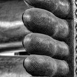 Collection Black & White