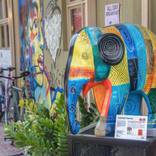 Collection Art & artefacts