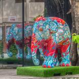 Collection Art & artefacts