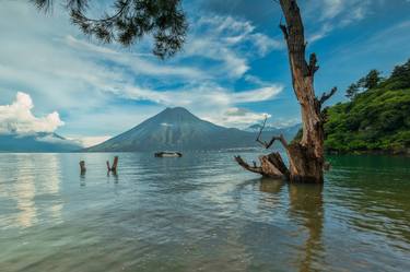 Lonely tree and the volcano. - Limited Edition 1 of 15 thumb