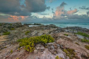 Print of Realism Landscape Photography by Christopher William Adach