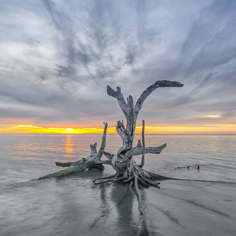 Original  Photography by christopher william adach