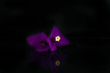 Violet flower - Limited Edition of 15 thumb