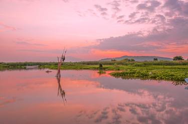 Print of Impressionism Landscape Photography by Christopher William Adach