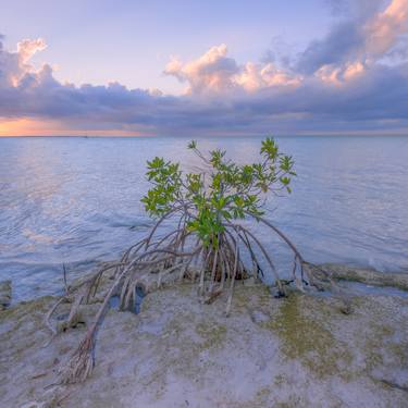 Print of Realism Landscape Photography by Christopher William Adach