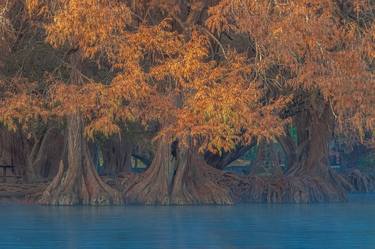 Autumn at Camecuaro lake - Limited Edition of 15 thumb