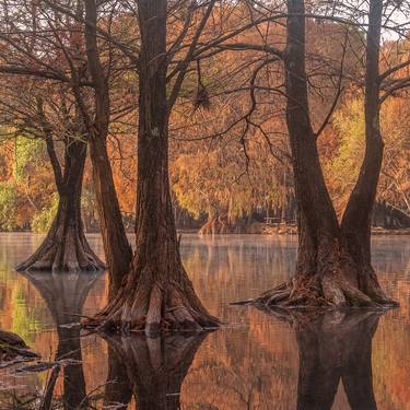 Sunrise at Camecuaro lake - Limited Edition of 15 thumb