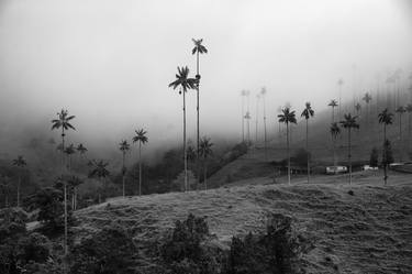 Cocora valley - Limited Edition of 15 thumb
