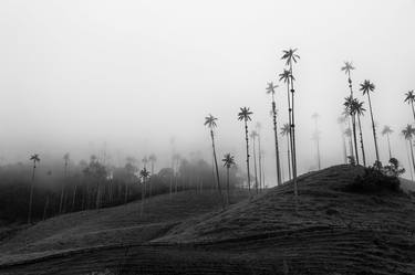 The Cocora valley - Limited Edition of 15 thumb