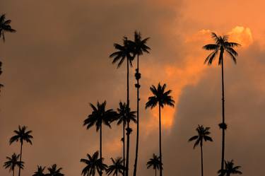 Sunset and the palm trees - Limited Edition of 15 thumb