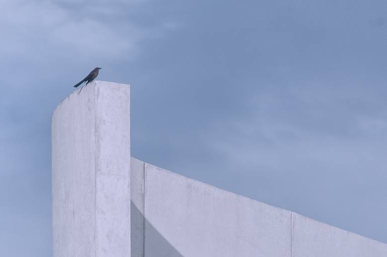 Original  Photography by christopher william adach