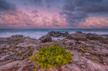 Caribbean sunset thumb