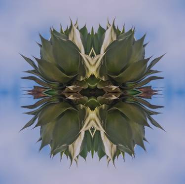 Print of Abstract Fantasy Photography by Christopher William Adach