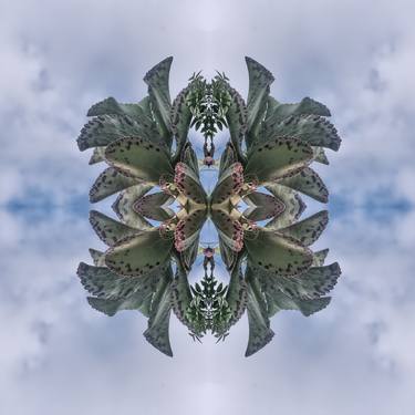 Print of Abstract Fantasy Photography by Christopher William Adach