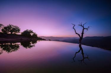 Print of Minimalism Tree Photography by Christopher William Adach