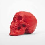 SKULLPTURE™ (RED) by Antonio Brasko