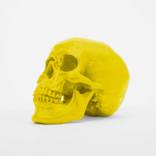 SKULLPTURE™ (YELLOW) by Antonio Brasko
