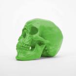 SKULLPTURE™ (GREEN) by Antonio Brasko