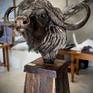 Cape Buffalo (Lifesize) Bronze, Ltd Ed of 15 only Sculpture by Brandon ...