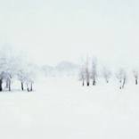 雪國(Snow Country)-Ⅲ by bareum kim