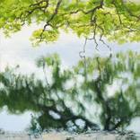 pond by bareum kim