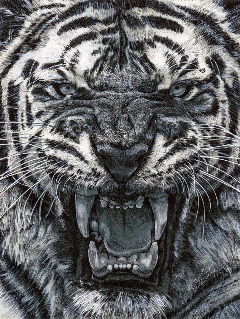 Tiger Roar! Drawing by Julio Lucas Saatchi Art