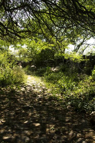 Print of Fine Art Landscape Photography by Harold Rodriguez