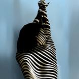 Lie on the lines 10 by Ibrahim Unal
