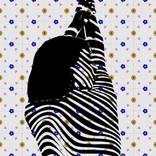 Lie on the lines 13 by Ibrahim Unal
