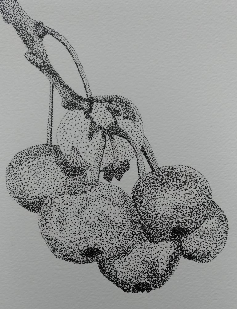 Pen Drawing of Fruit Drawing by - Fine Art America