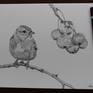 Bird and wild fruit.
I used the stippling technique using a rotring drawing pen to create this drawing.

Too much patience, too much point, and a tired hand but it's worth a try.