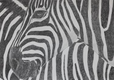 Zebra 1 thumb