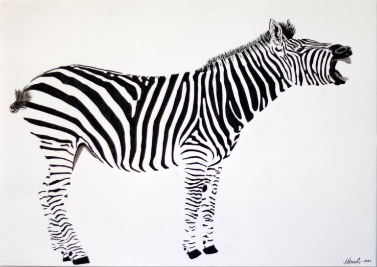 Zebra 4, Drawing by Ibrahim Unal