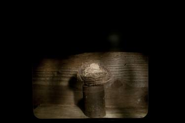Original Abstract Still Life Photography by Kerry Davis
