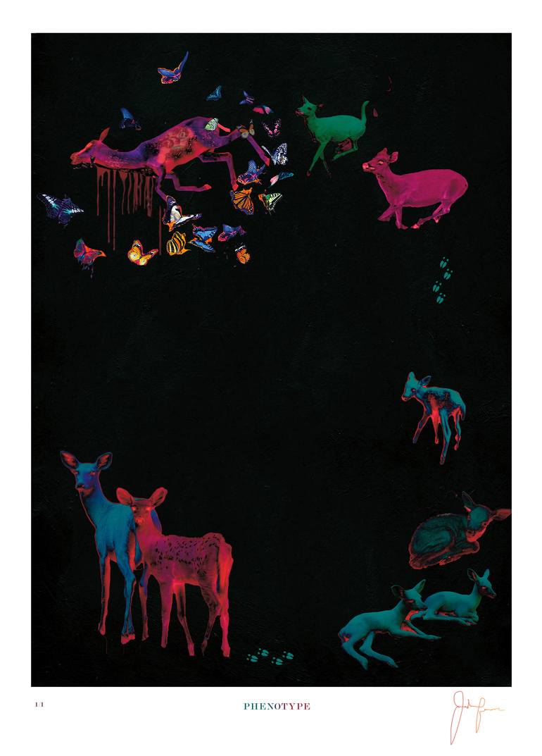 Print of Abstract Animal Mixed Media by Joshua Benmore
