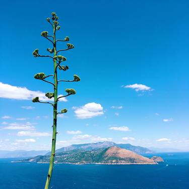 Isle of Capri: Blue thumb