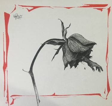 Print of Abstract Floral Drawings by George Muscalu