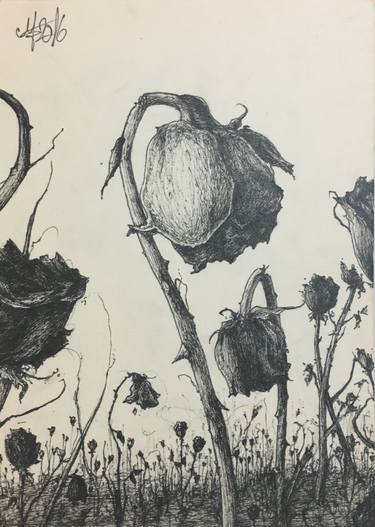 Print of Nature Drawings by George Muscalu