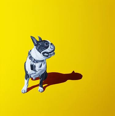Yellow and copper boston terrier thumb