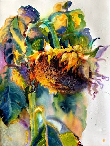 Sunflower painting "One of many" watercolor thumb